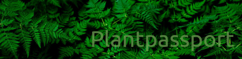 Moodle | Plantpassport
